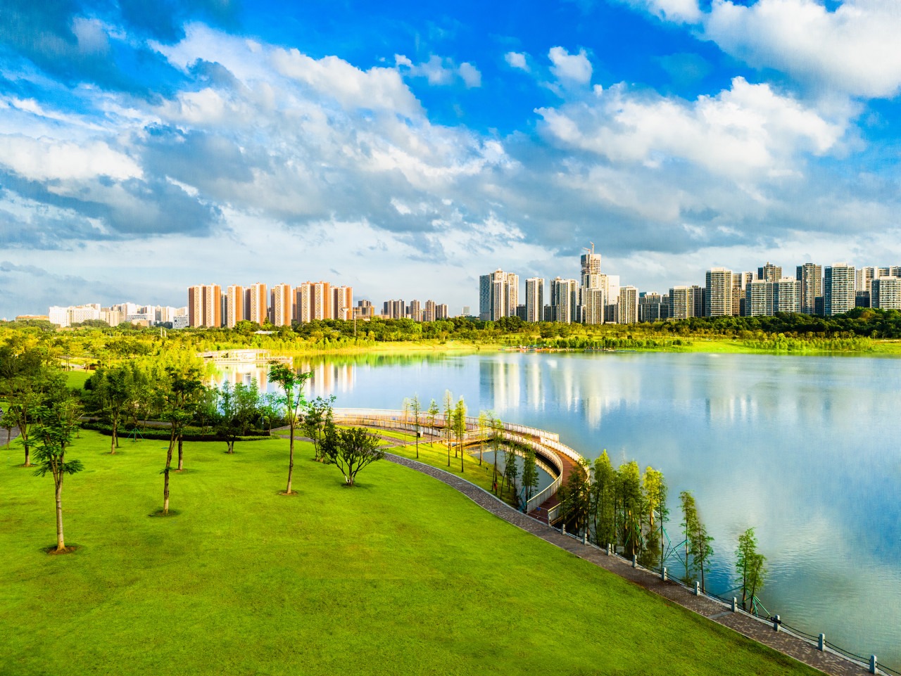 环湖碧道与落羽杉长廊